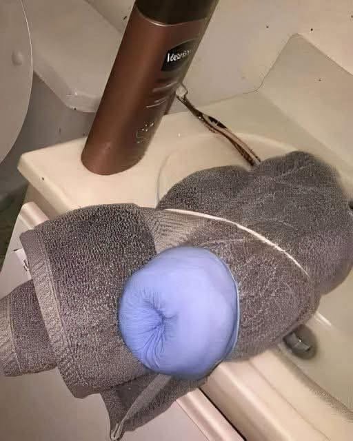 A Strange Object Found in a Teen’s Bathroom Leaves His Parent Completely Speechless