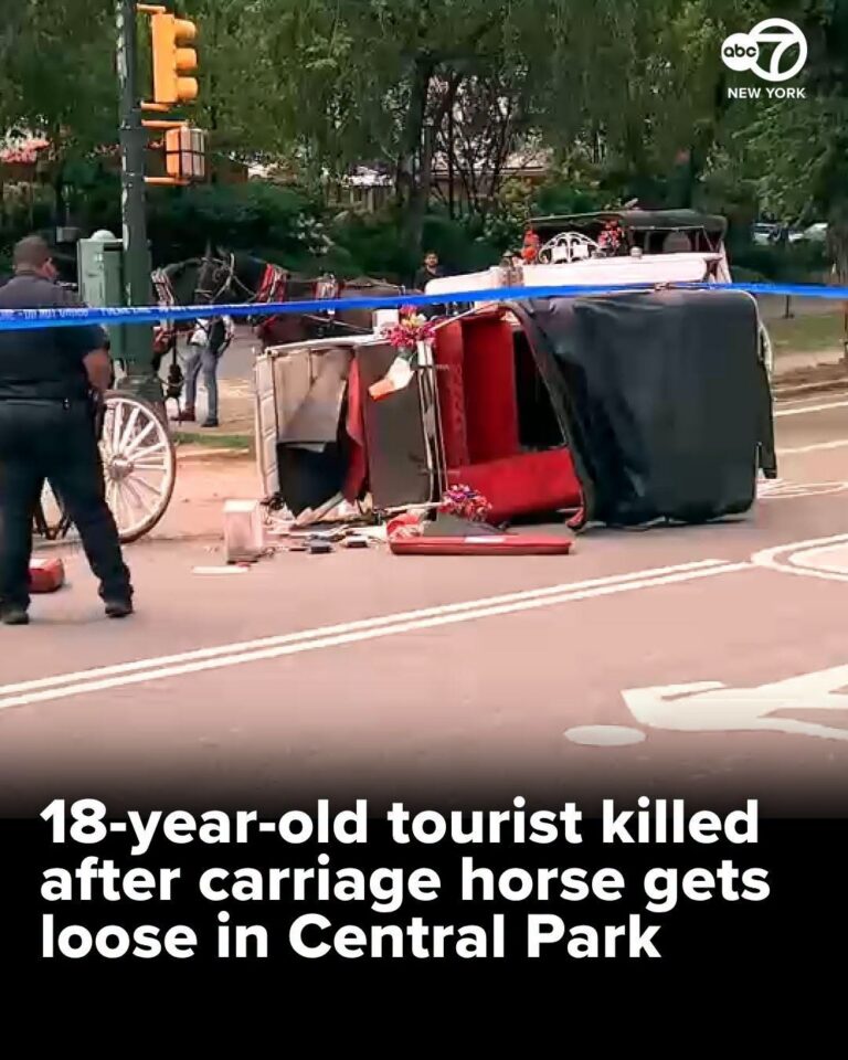 18-year-old tourist killed after carriage horse gets loose in Central Park