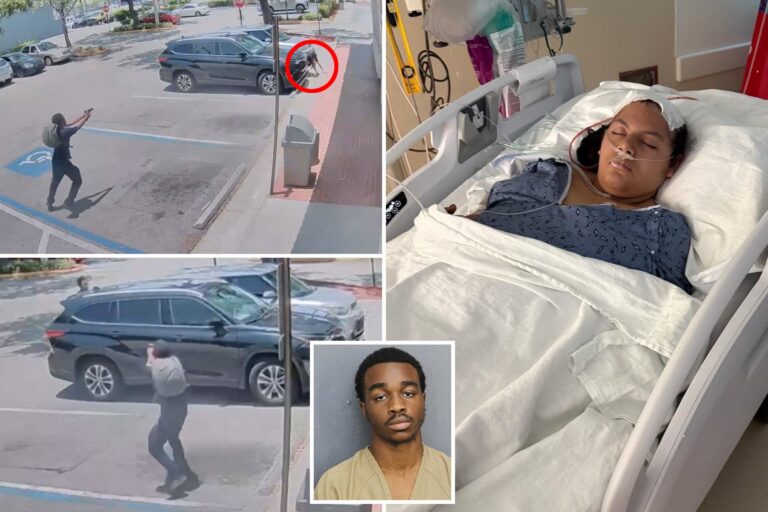 Bullet stuck in head of 11-year-old Florida girl after stray gunfire rips through McDonald’s parking lot