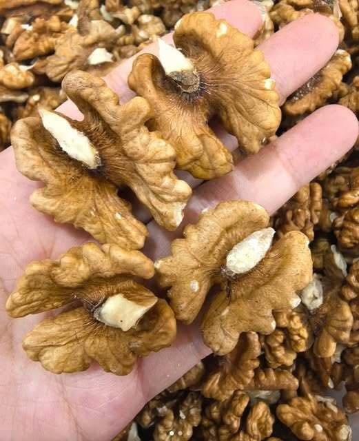 Nutrition Experts Reveal Surprising Health Benefits of Eating Walnuts