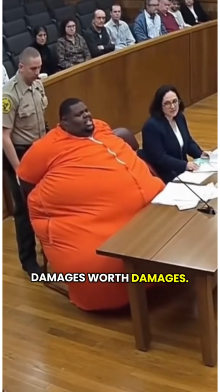The Courtroom Comment That Stopped the Hearing: A Moment No One Saw Coming