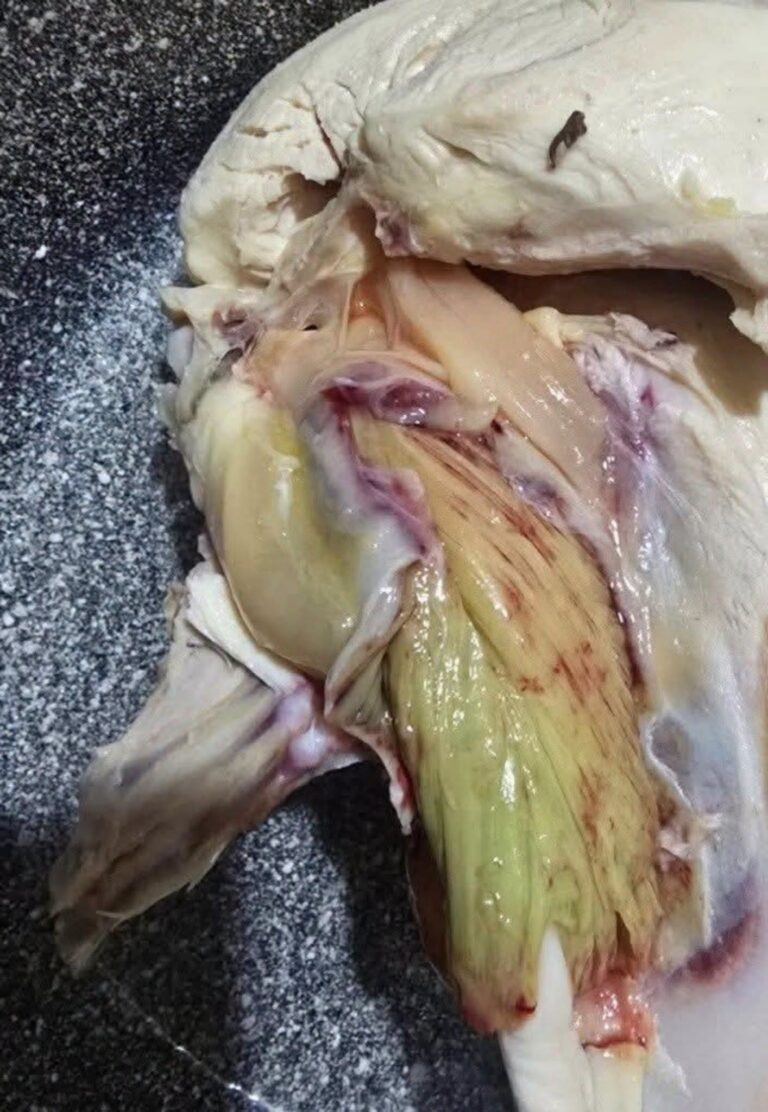 Authorities Arrest a California Man in Connection With an Unusual Meat Sales Case