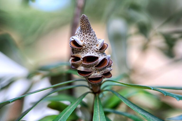 How a Curious Forest Discovery Turned Into a Delightful Nature Lesson