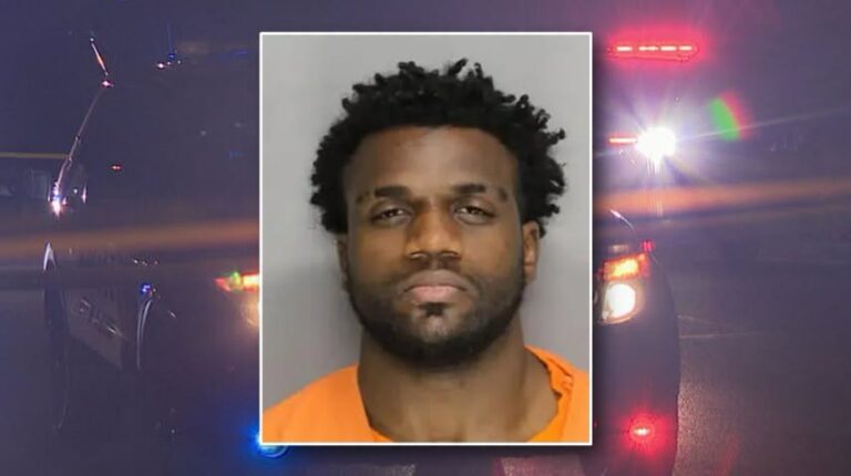 18-year-old man arrested after dismembered female torso falls out of plastic tub: police